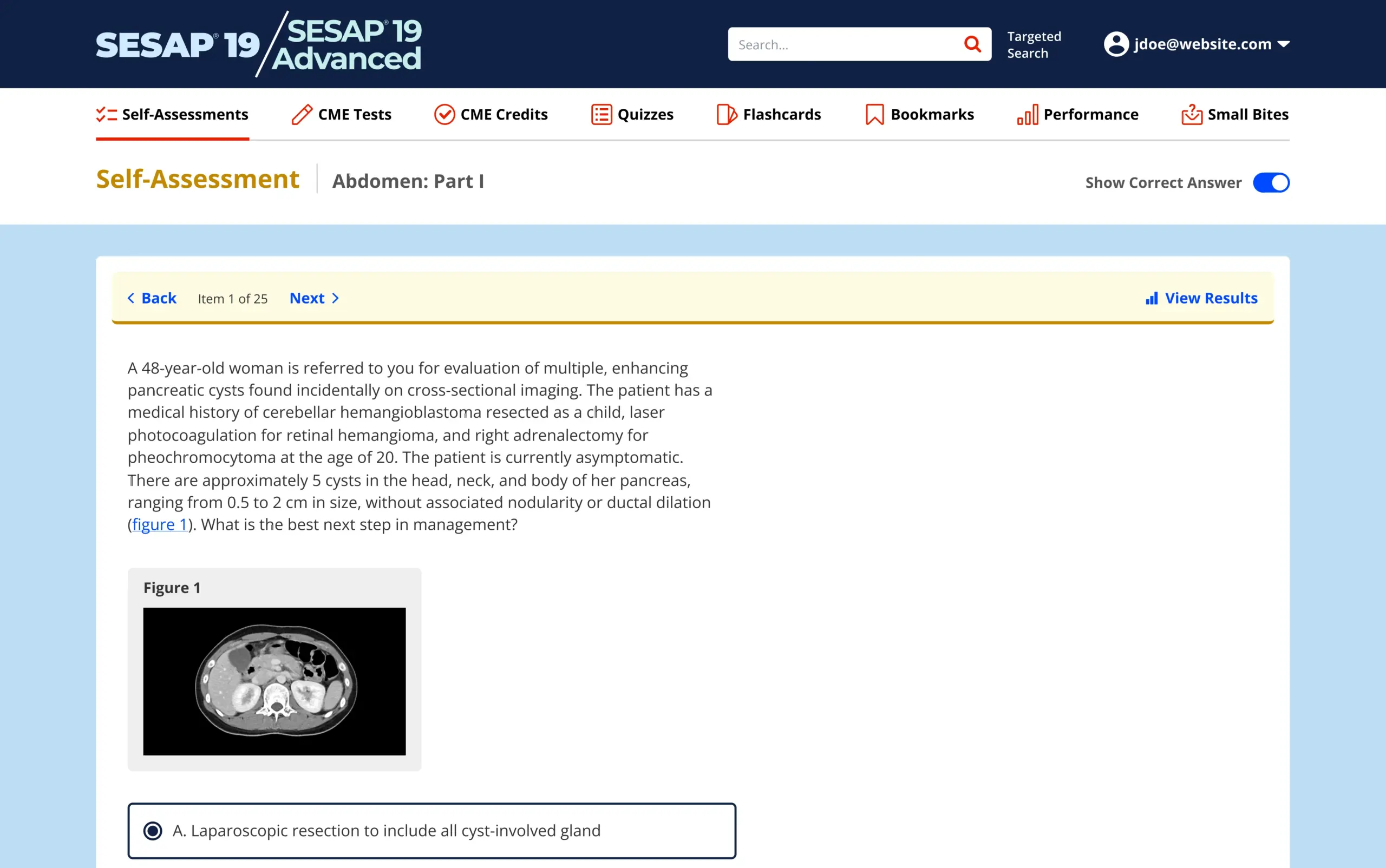 SESAP 19 desktop self-assessment question interface